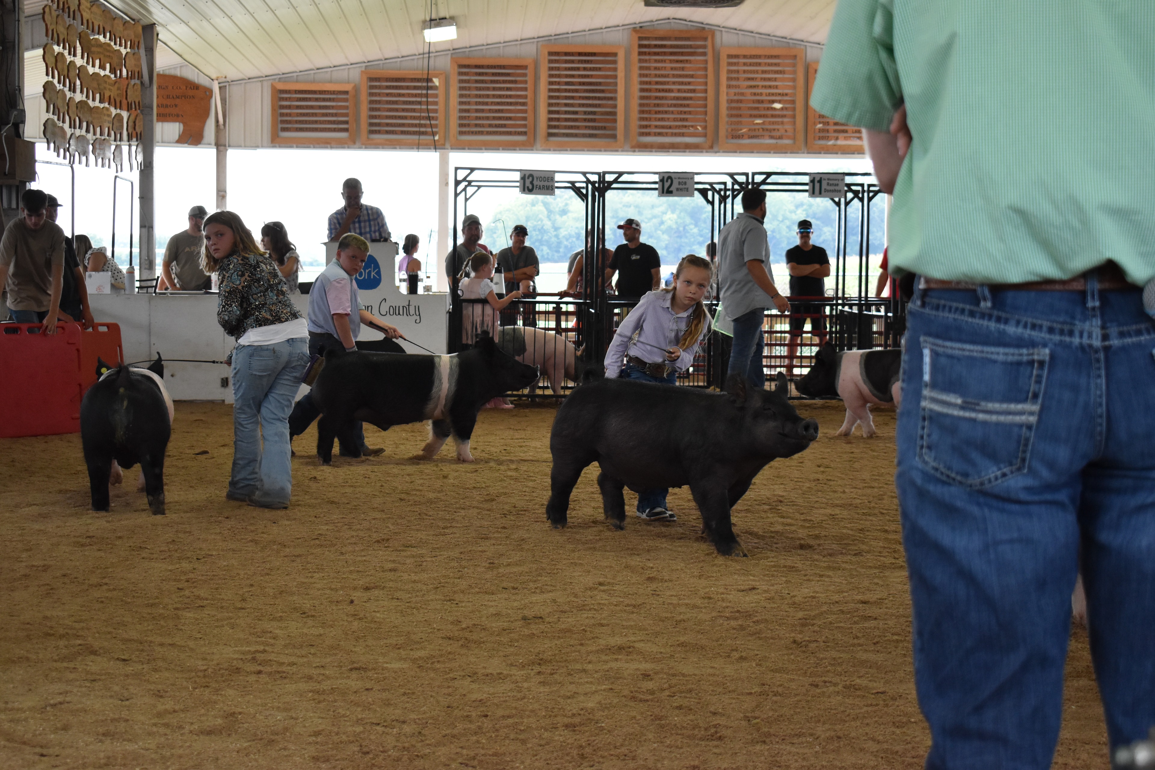 Girl in lavender button-up shirt steering large solid black Hampshire cross pig — young boy in paisley shirt steering black-and-white Hampshire cross pig at left, Oakview Farms Meats, Blazer Farms, Mark Sommers memorial sponsor signs above packed grandstands watching