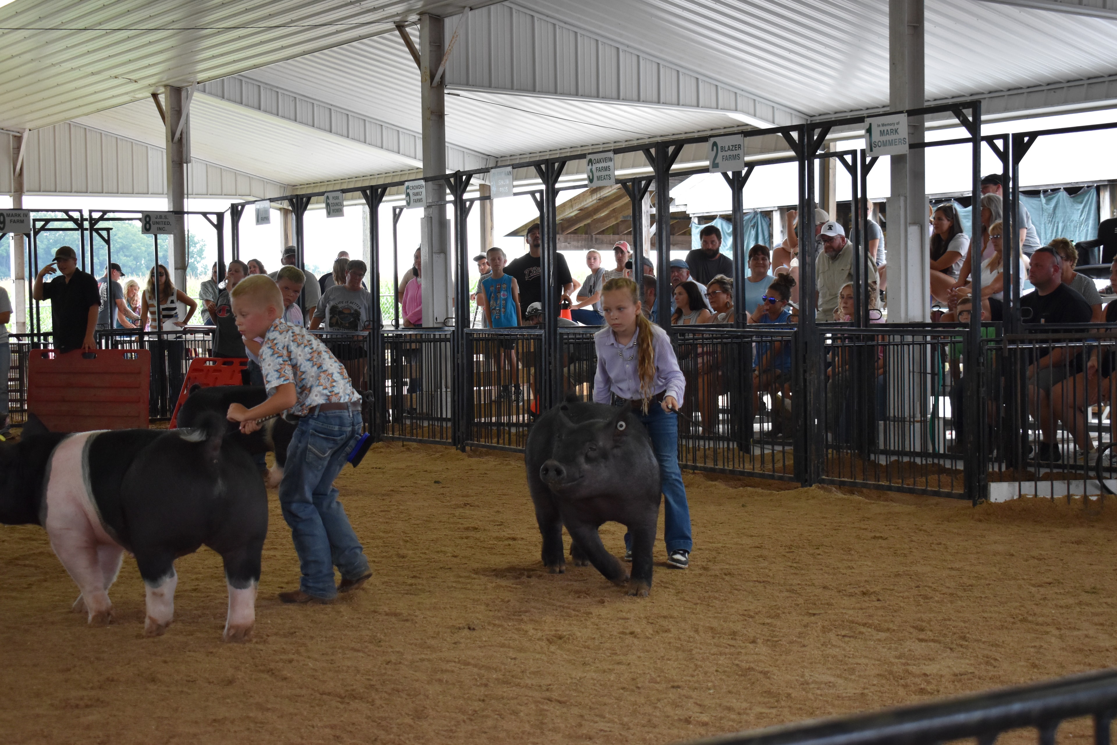 Girl in lavender button-up shirt steering large solid black Hampshire cross pig — young boy in paisley shirt steering black-and-white Hampshire cross pig at left, Oakview Farms Meats, Blazer Farms, Mark Sommers memorial sponsor signs above packed grandstands watching