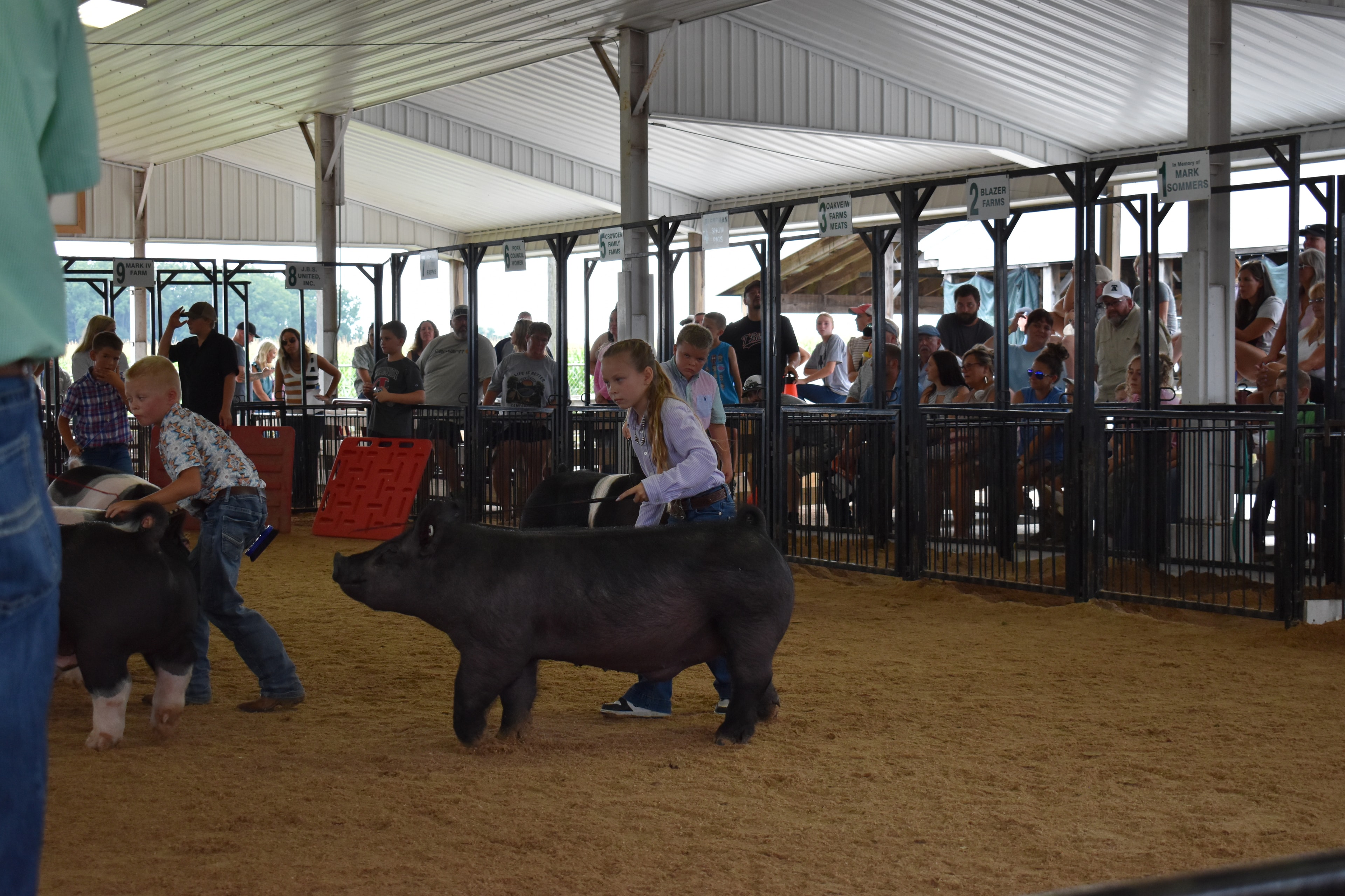 Girl in lavender button-up shirt steering large solid black Hampshire cross pig — young boy in paisley shirt steering black-and-white Hampshire cross pig at left, boy in light blue shirt behind, Oakview Farms Meats, Blazer Farms, Mark Sommers memorial sponsor signs above packed grandstands watching