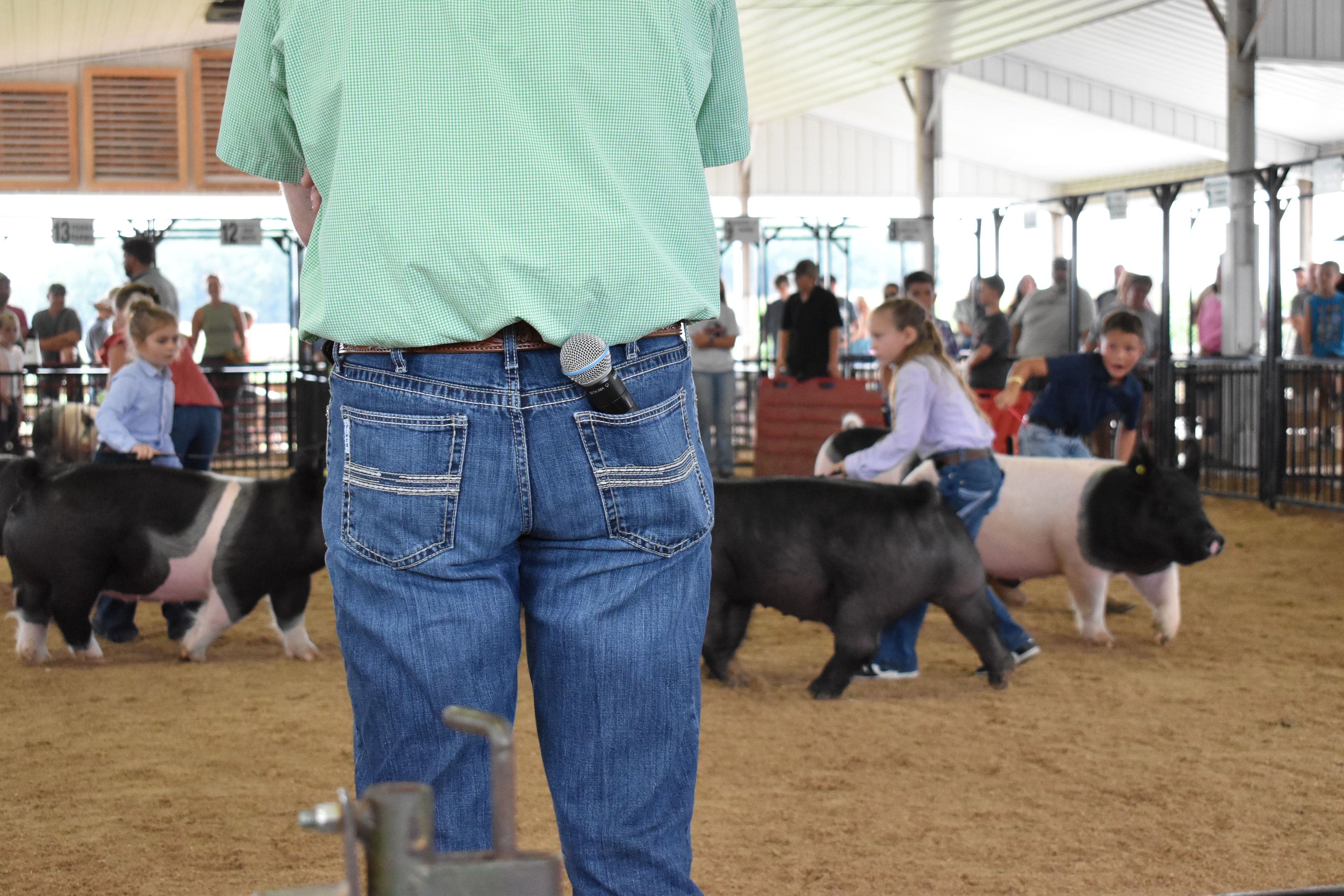 Girl in lavender button-up shirt steering large solid black Hampshire cross pig — young boy in paisley shirt steering black-and-white Hampshire cross pig at left, boy in light blue shirt behind, Oakview Farms Meats, Blazer Farms, Mark Sommers memorial sponsor signs above packed grandstands watching