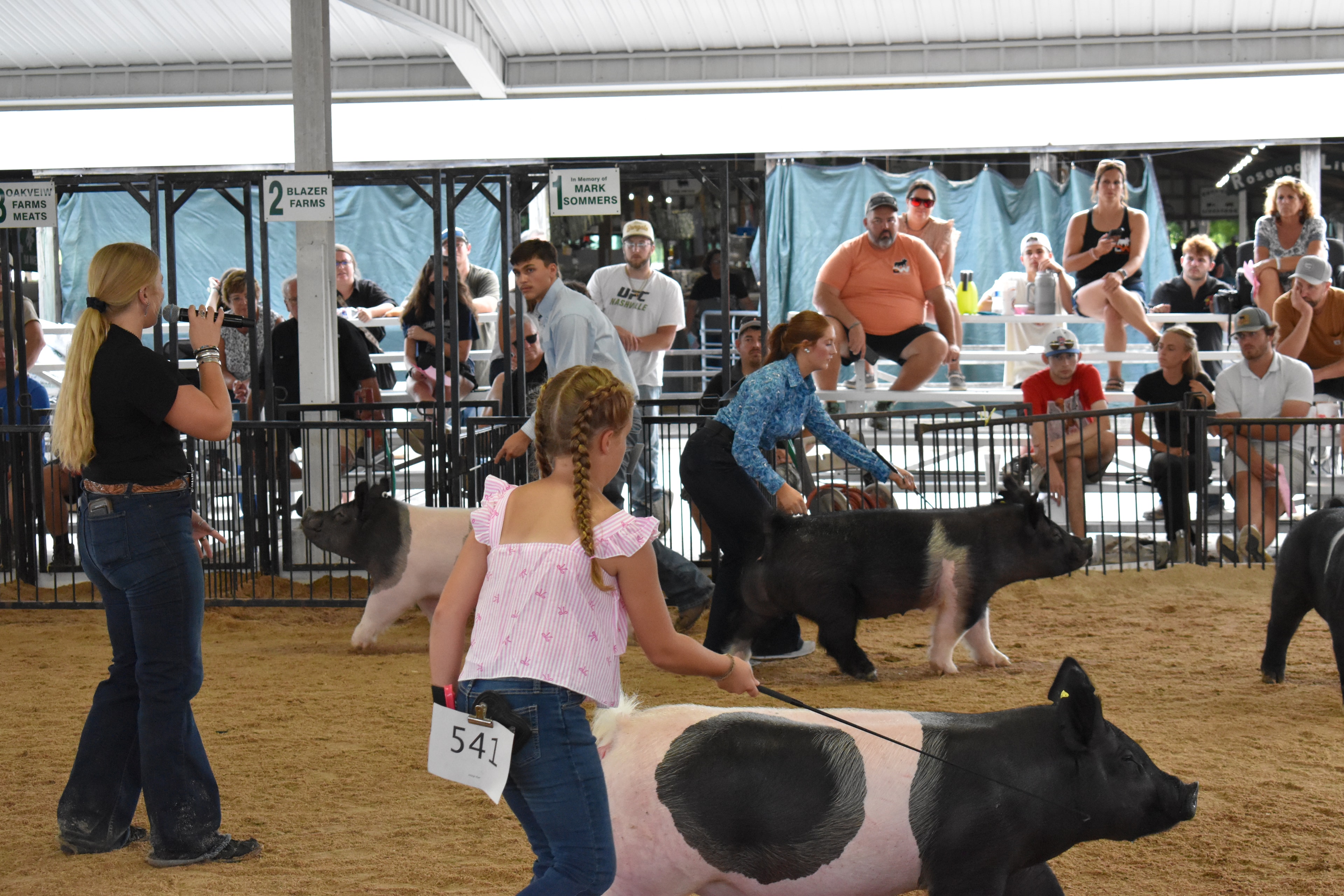 Exhibitors steering black pigs in the arena with packed sponsor pens at Champaign County Fair