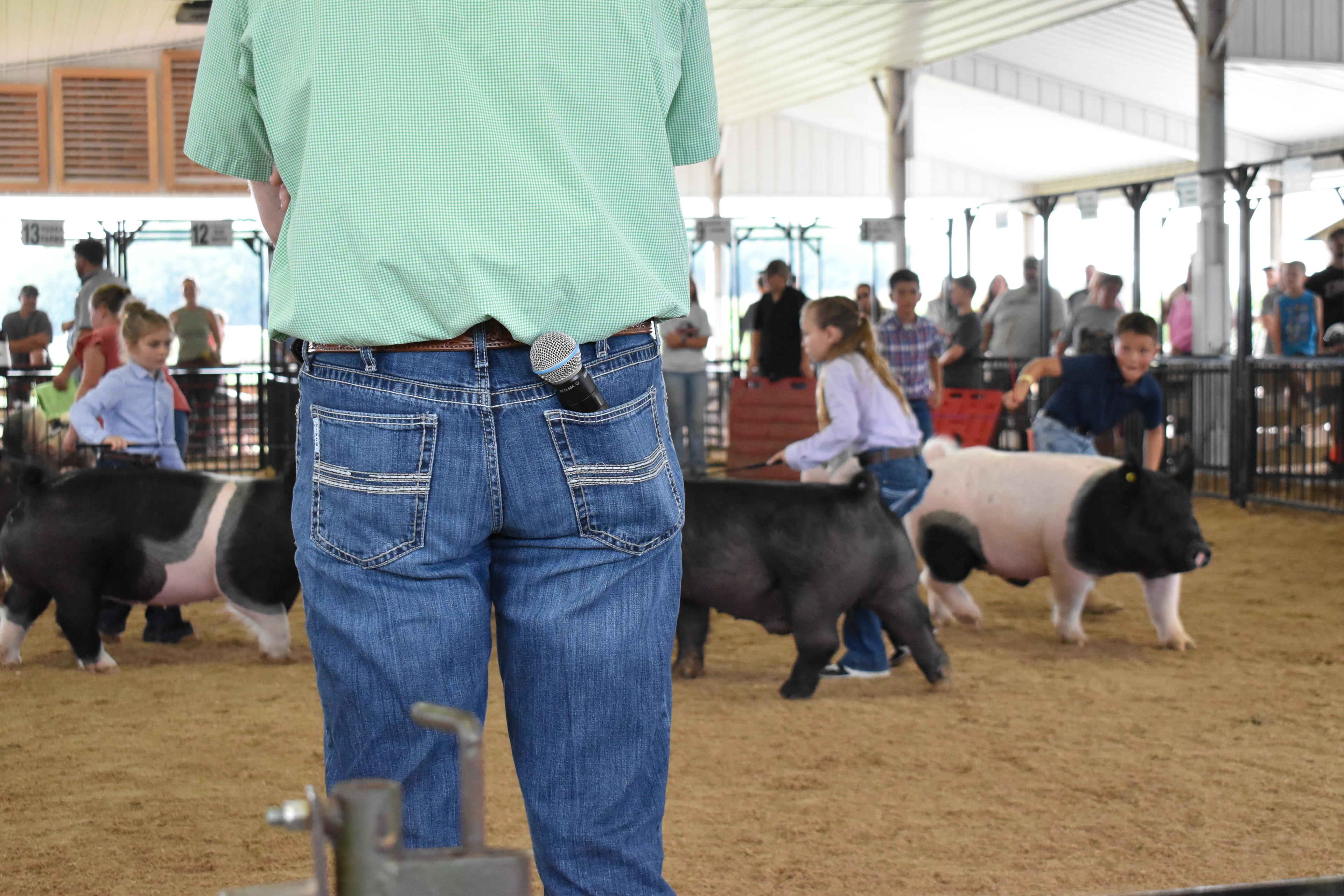 Girl in lavender button-up shirt steering large solid black Hampshire cross pig — young boy in paisley shirt steering black-and-white Hampshire cross pig at left, boy in light blue shirt behind, Oakview Farms Meats, Blazer Farms, Mark Sommers memorial sponsor signs above packed grandstands watching