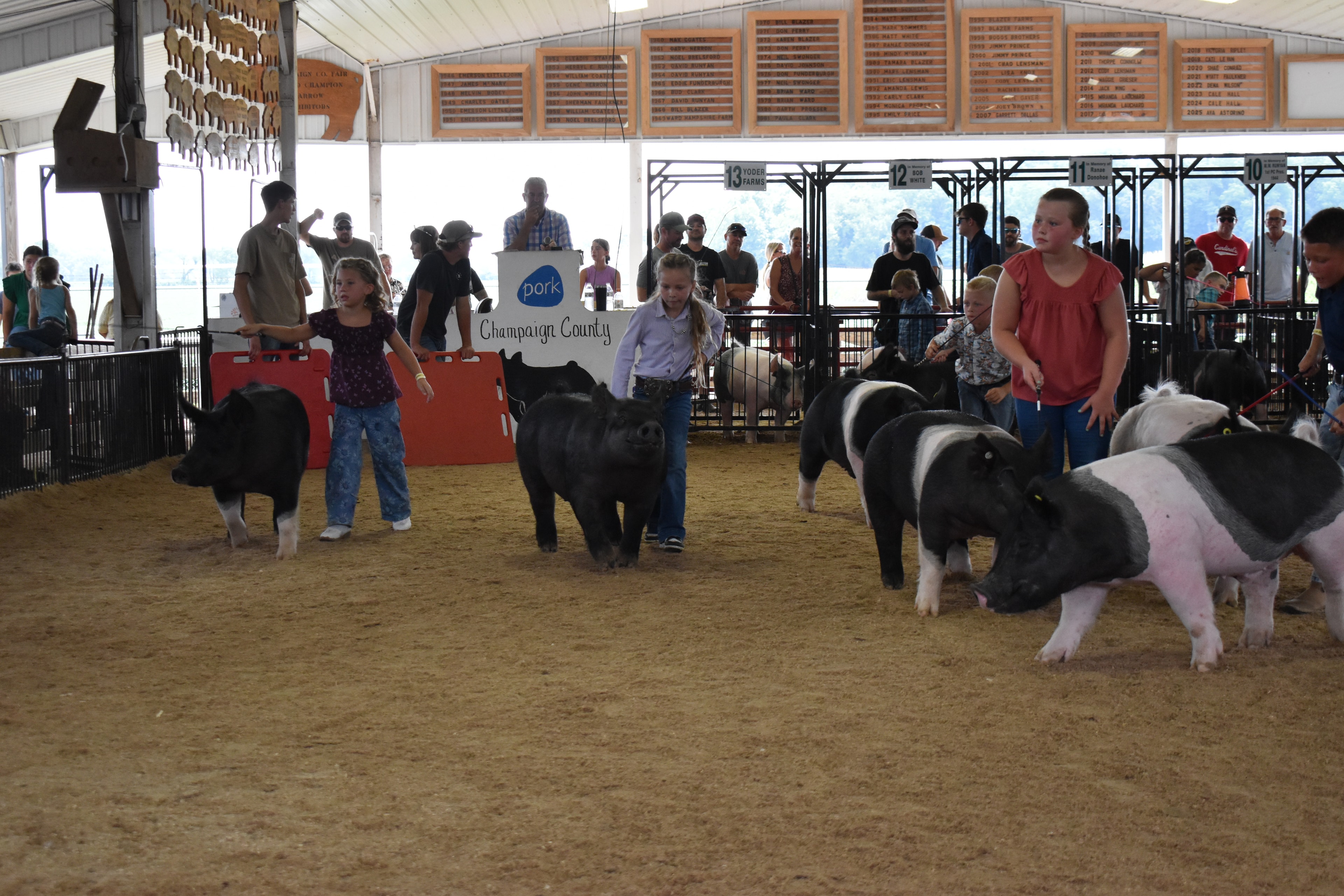 Girl in lavender button-up shirt steering large solid black Hampshire cross pig — young boy in paisley shirt steering black-and-white Hampshire cross pig at left, boy in light blue shirt behind, Oakview Farms Meats, Blazer Farms, Mark Sommers memorial sponsor signs above packed grandstands watching