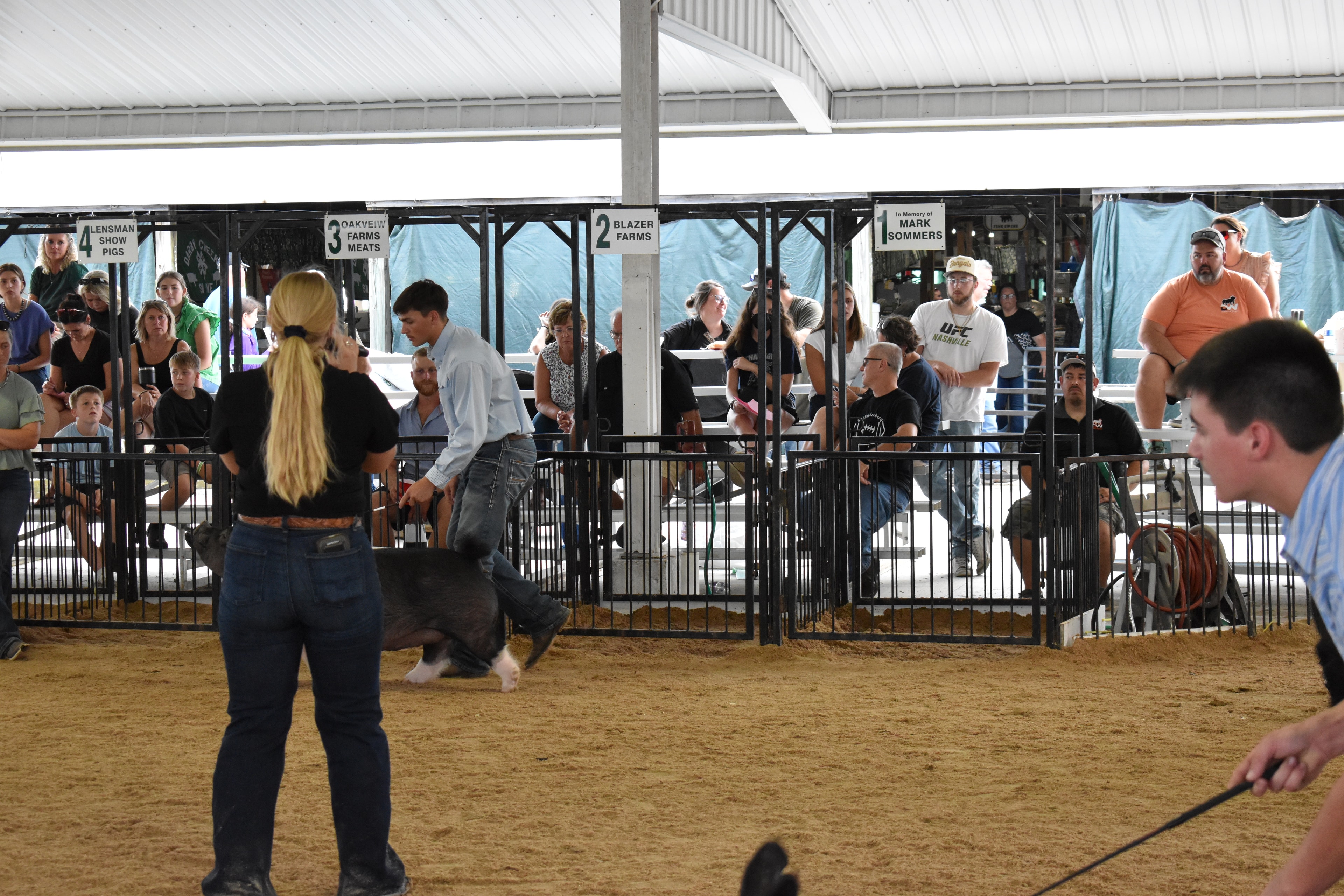 Champaign County Pork Queen and exhibitor showing pig with sponsor pens 6–11 in background