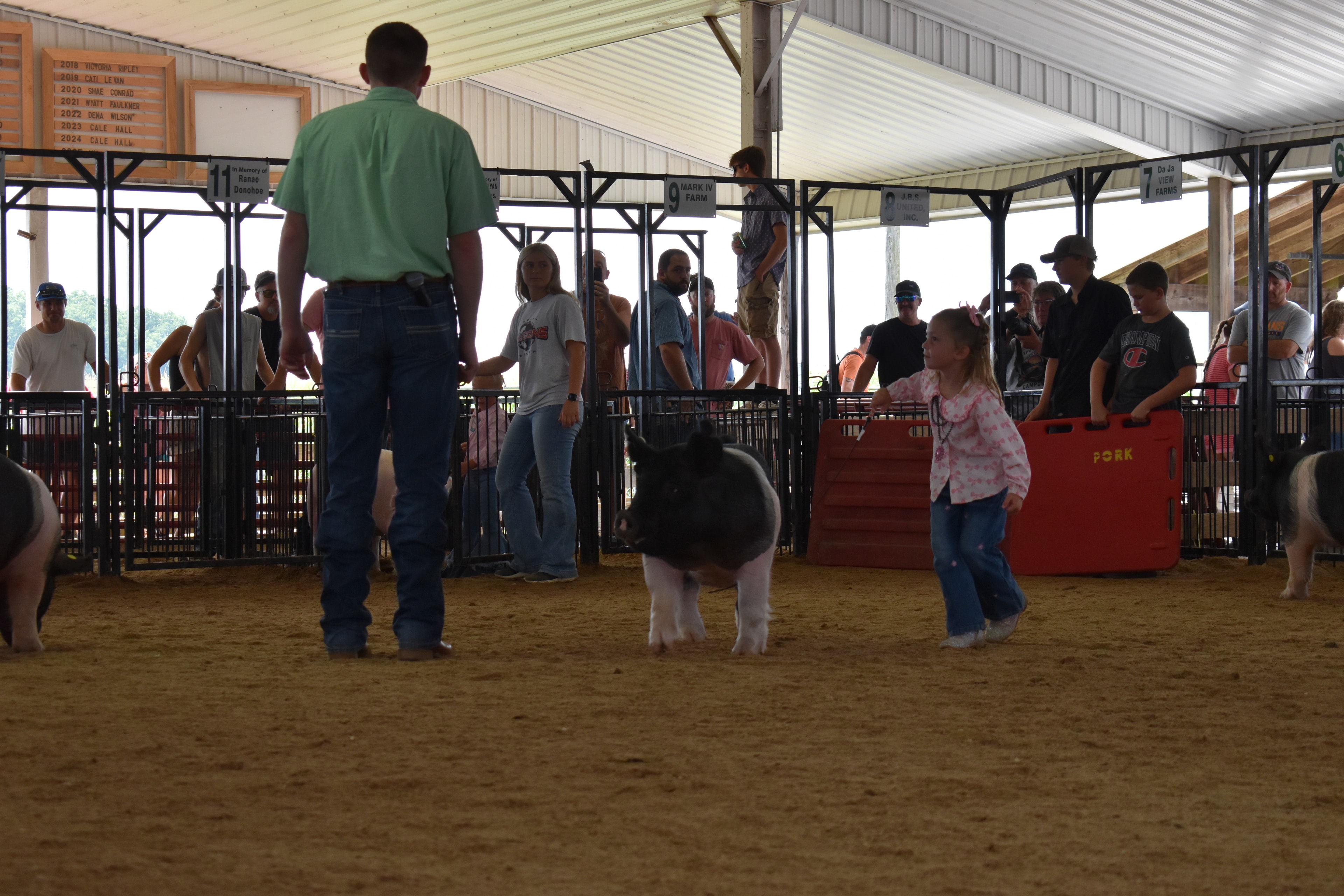 Young girl in bell-bottom jeans chasing pink spotted pig in front of Champaign County banner