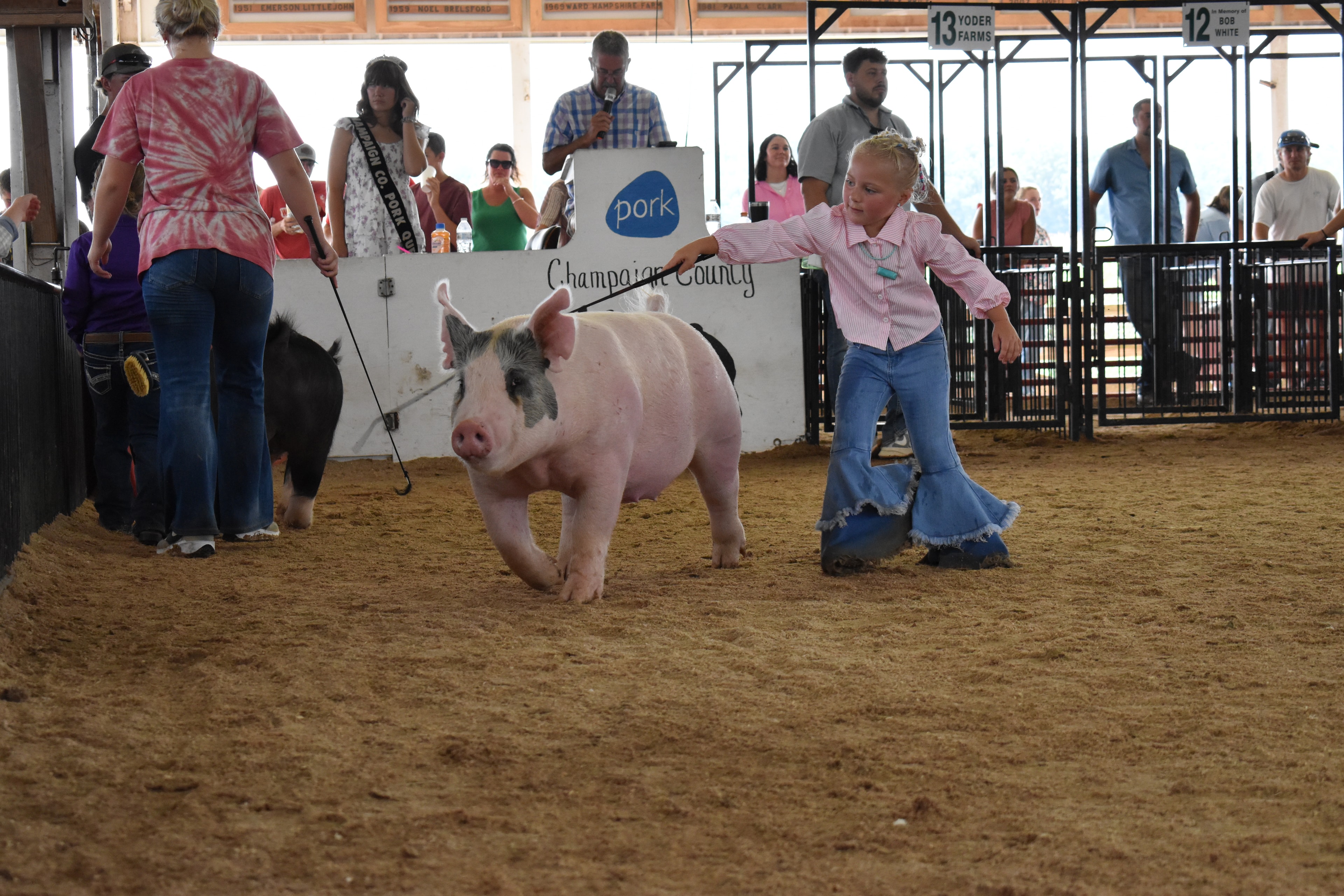 Young boy in striped shirt showing black Hampshire pig facing the packed sponsor pens