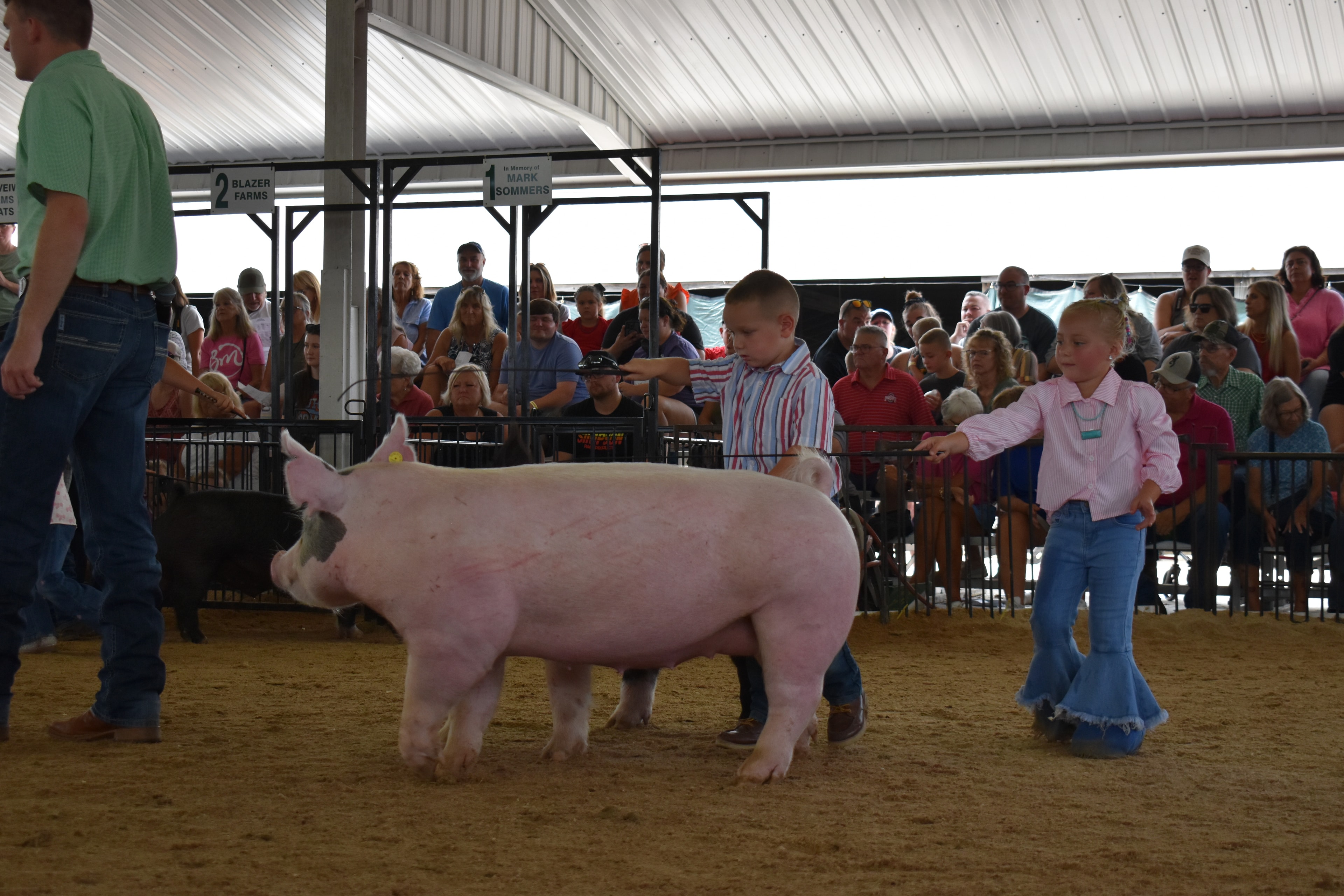 Young boy in purple shirt showing Hampshire cross pig near Blazer Farms and Mark Sommers memorial pens