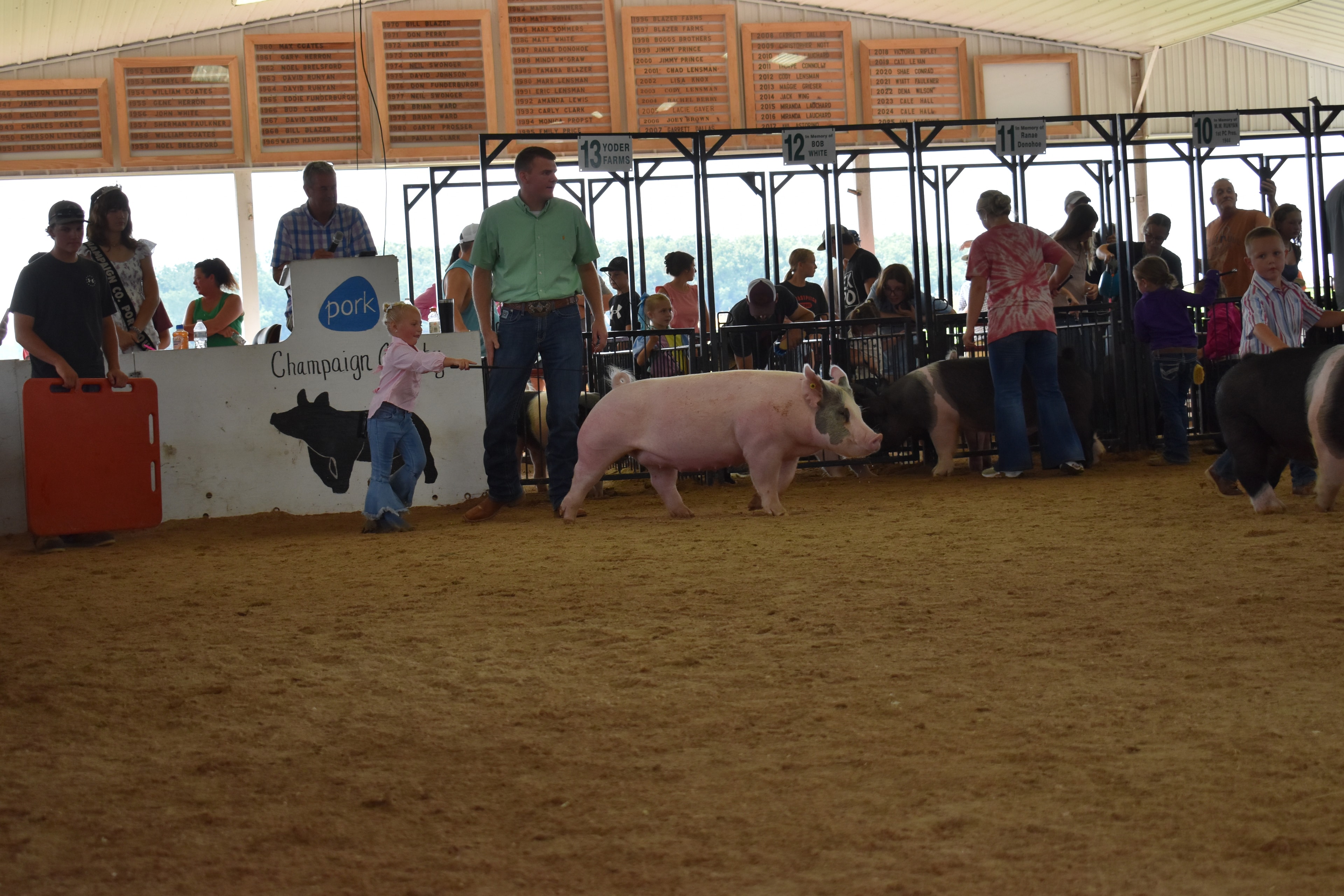 Young boy in striped shirt steering Hampshire cross pig with girl in pink shirt behind near Blazer Farms pens