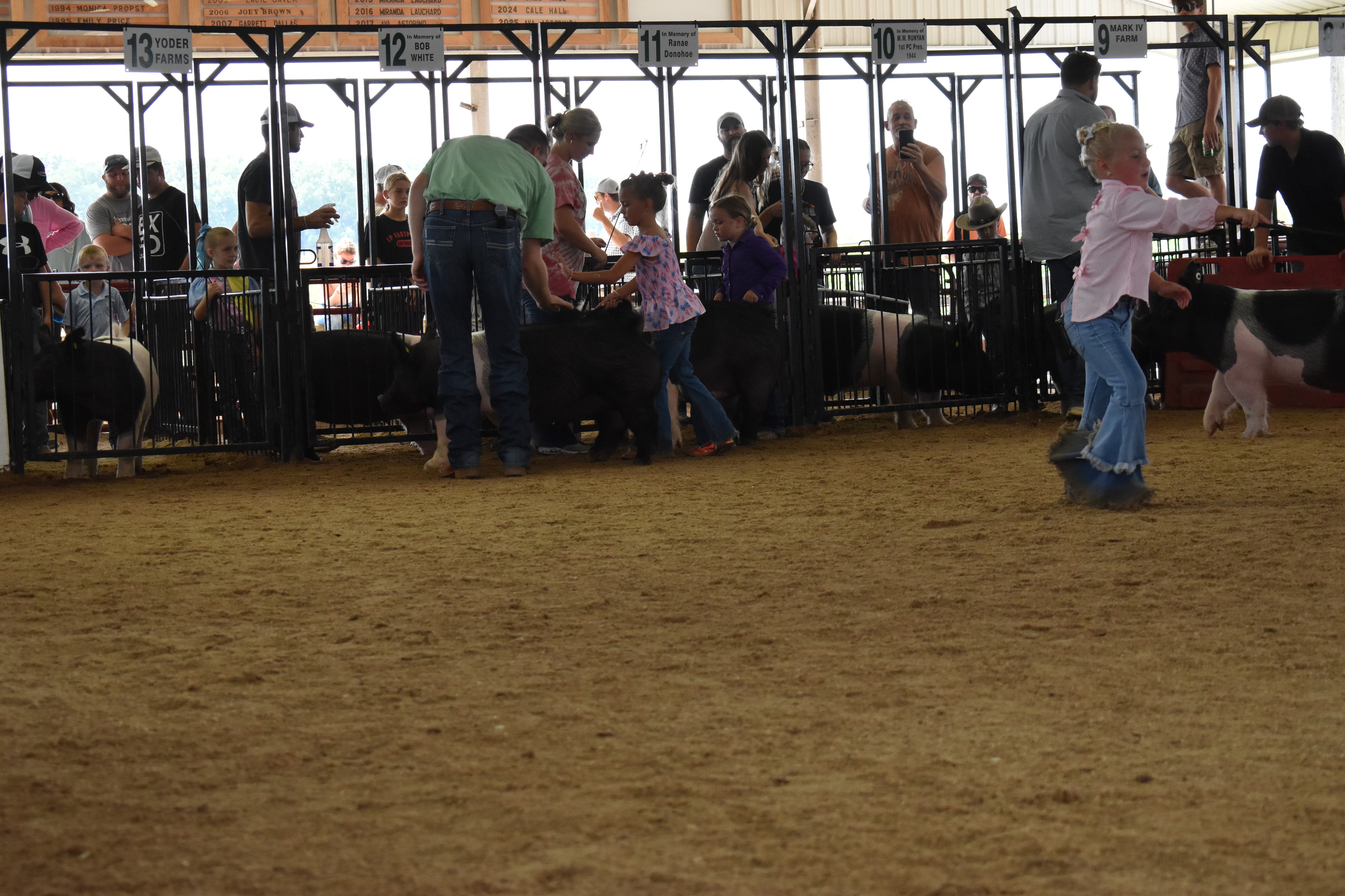 Young exhibitors with pigs near the red PORK board and sponsor pens 5–9 at Champaign County Fair
