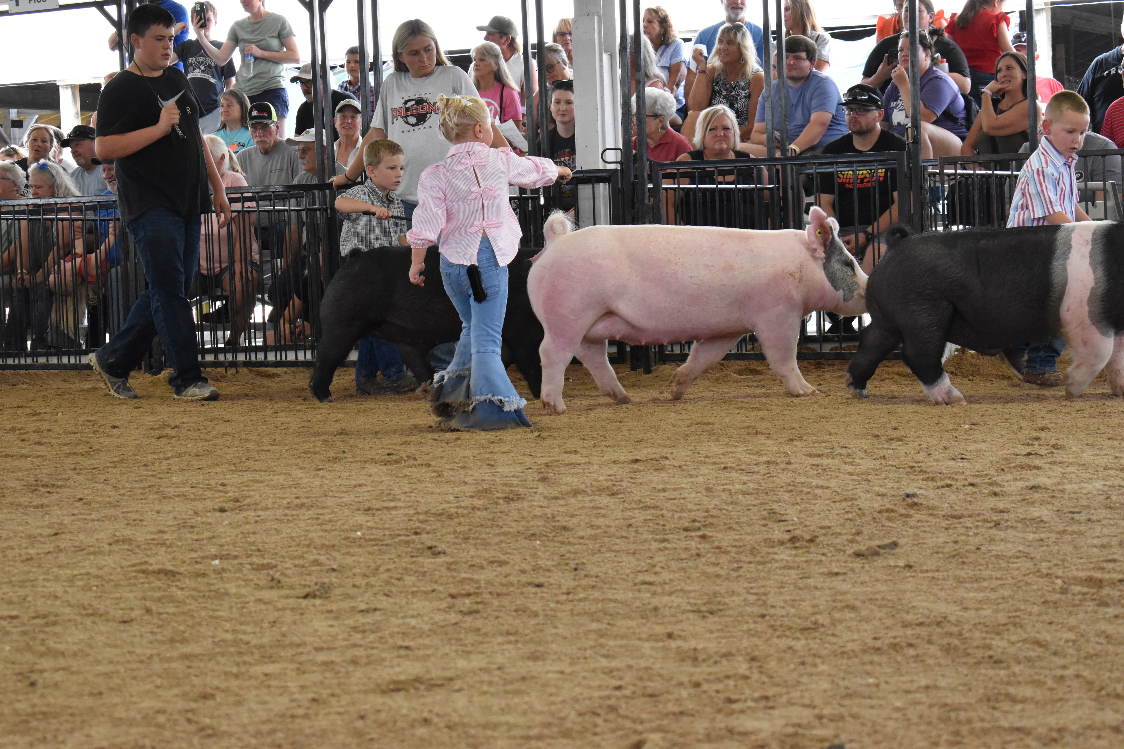 Young girl steering black pig past the Champaign County Pork sign
