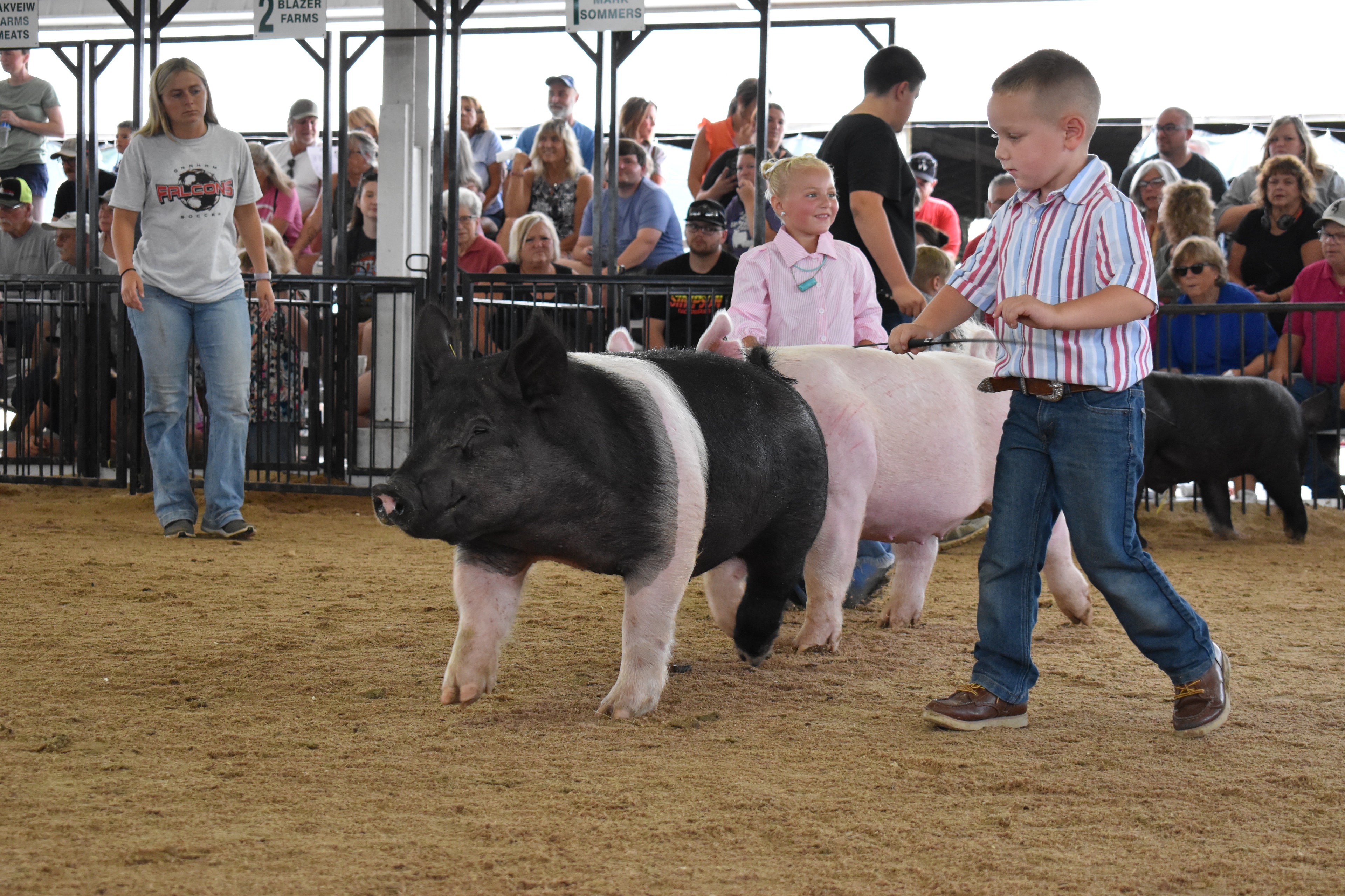 Young boy and girl showing large pink pig together in front of packed sponsor pens at Champaign County Fair