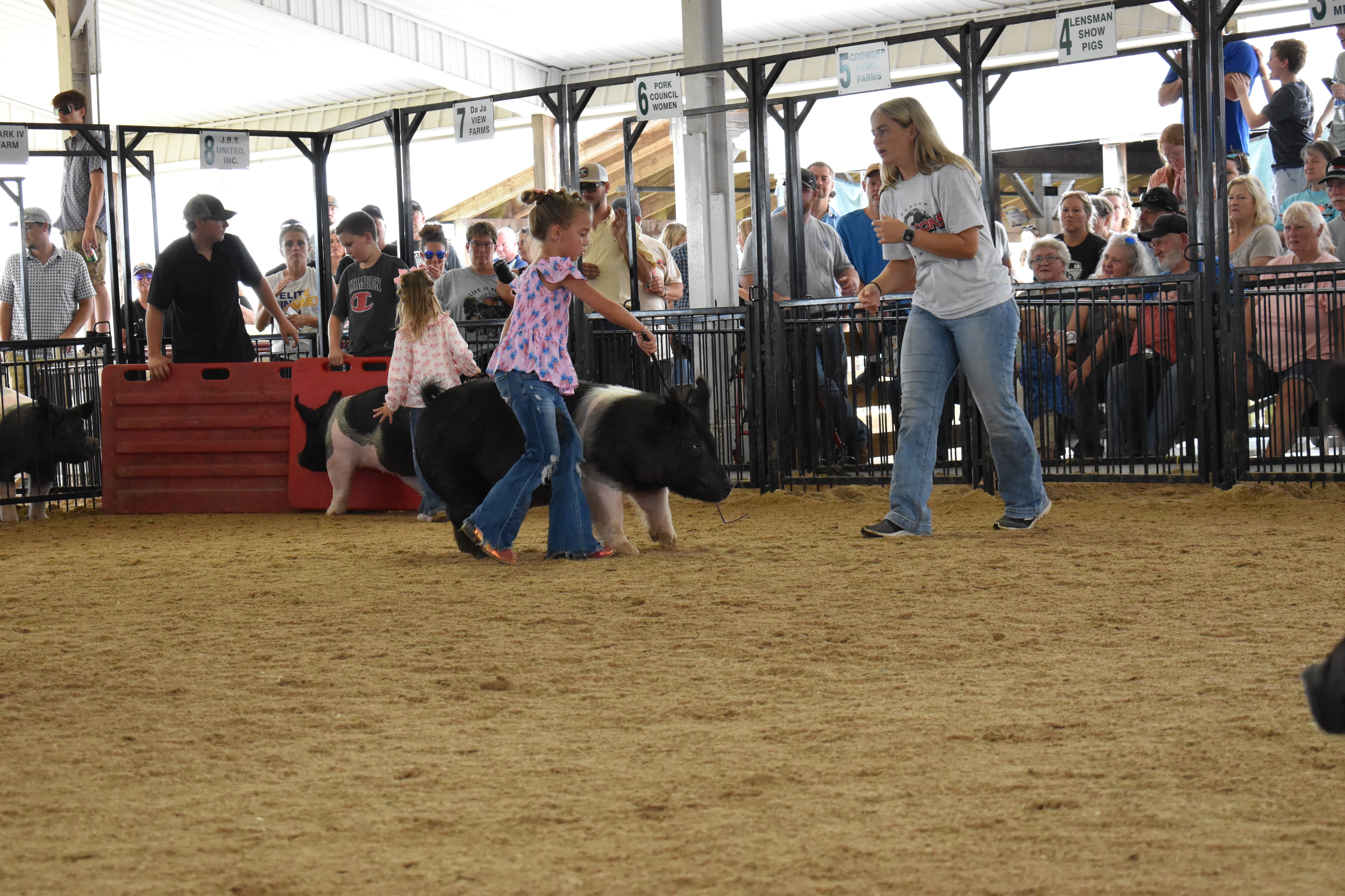 Boy in Under Armour shirt and boy in western hat steering two Hampshire cross pigs past sponsor pens 8–12