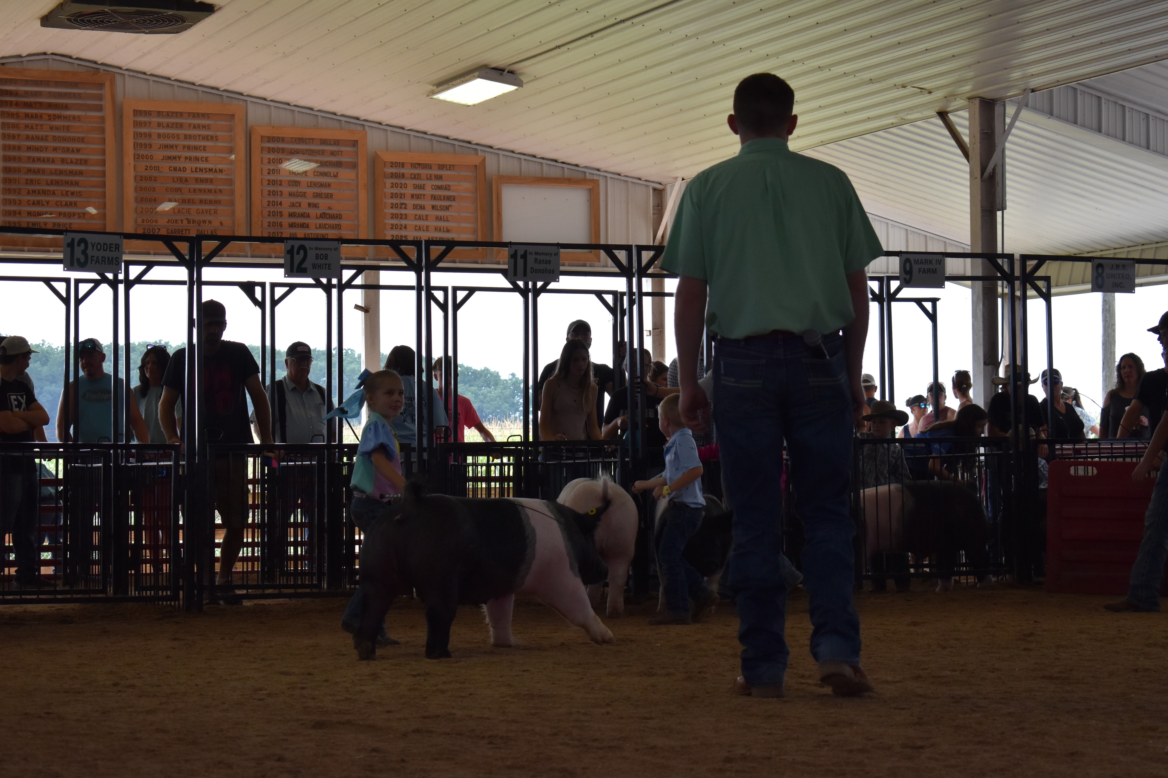 Young boy in red-striped shirt steering Hampshire cross pig with large crowd in sponsor pens 1–4 watching