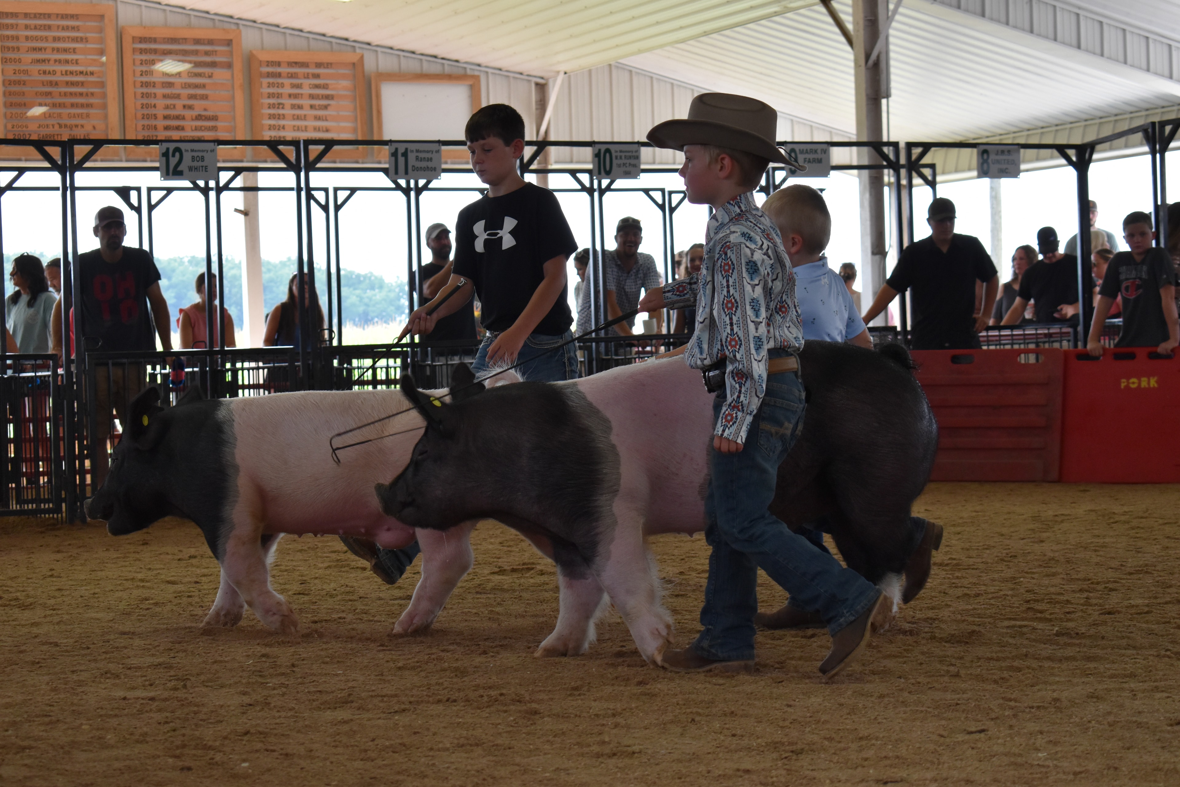 Young girl in colorful patchwork shirt steering Hampshire cross pig near the arena entry gate past Yoder Farms pen 13