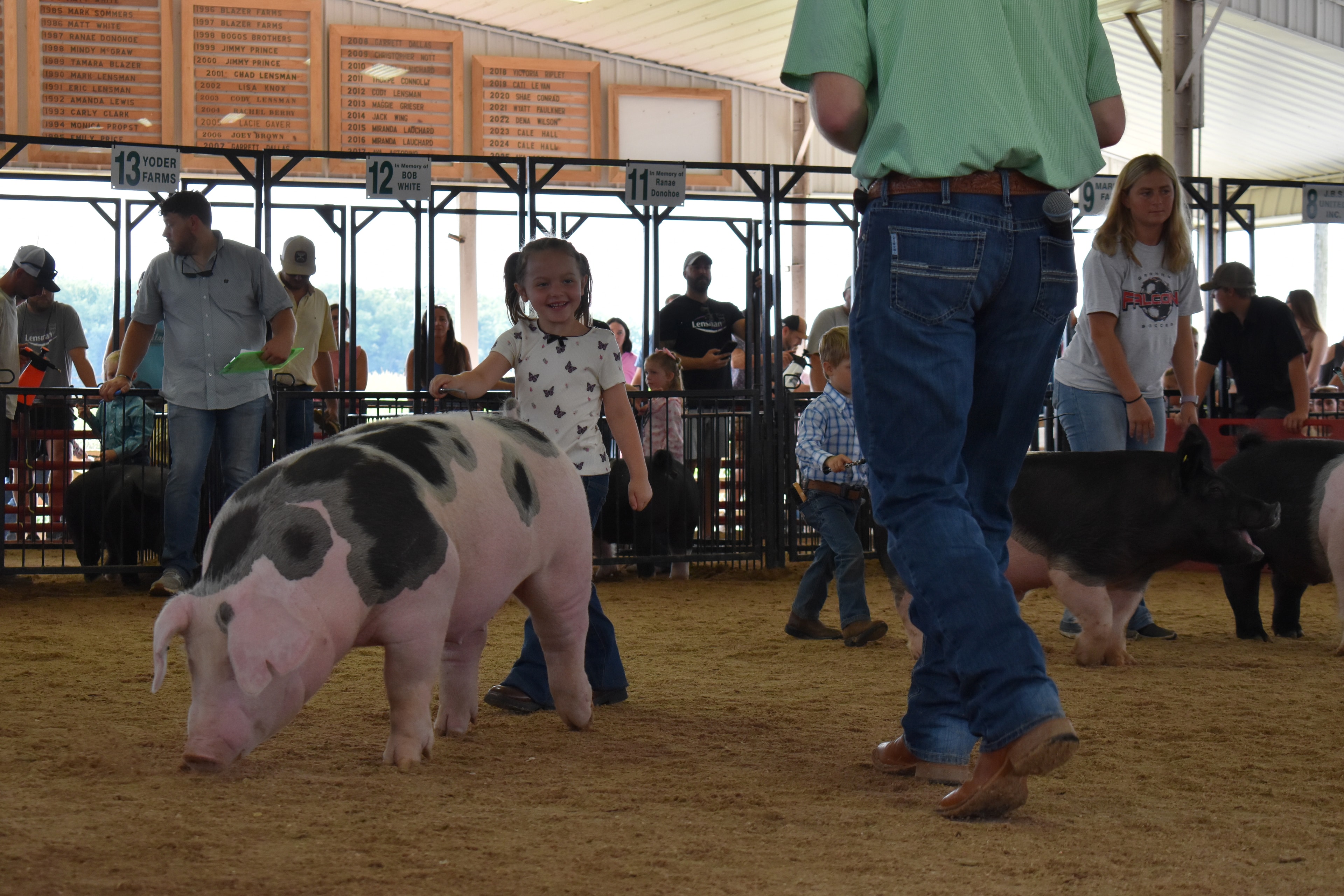 Young boy in blue plaid shirt steering large Hampshire cross pig toward camera with packed sponsor pens 9–13 behind at Champaign County Fair