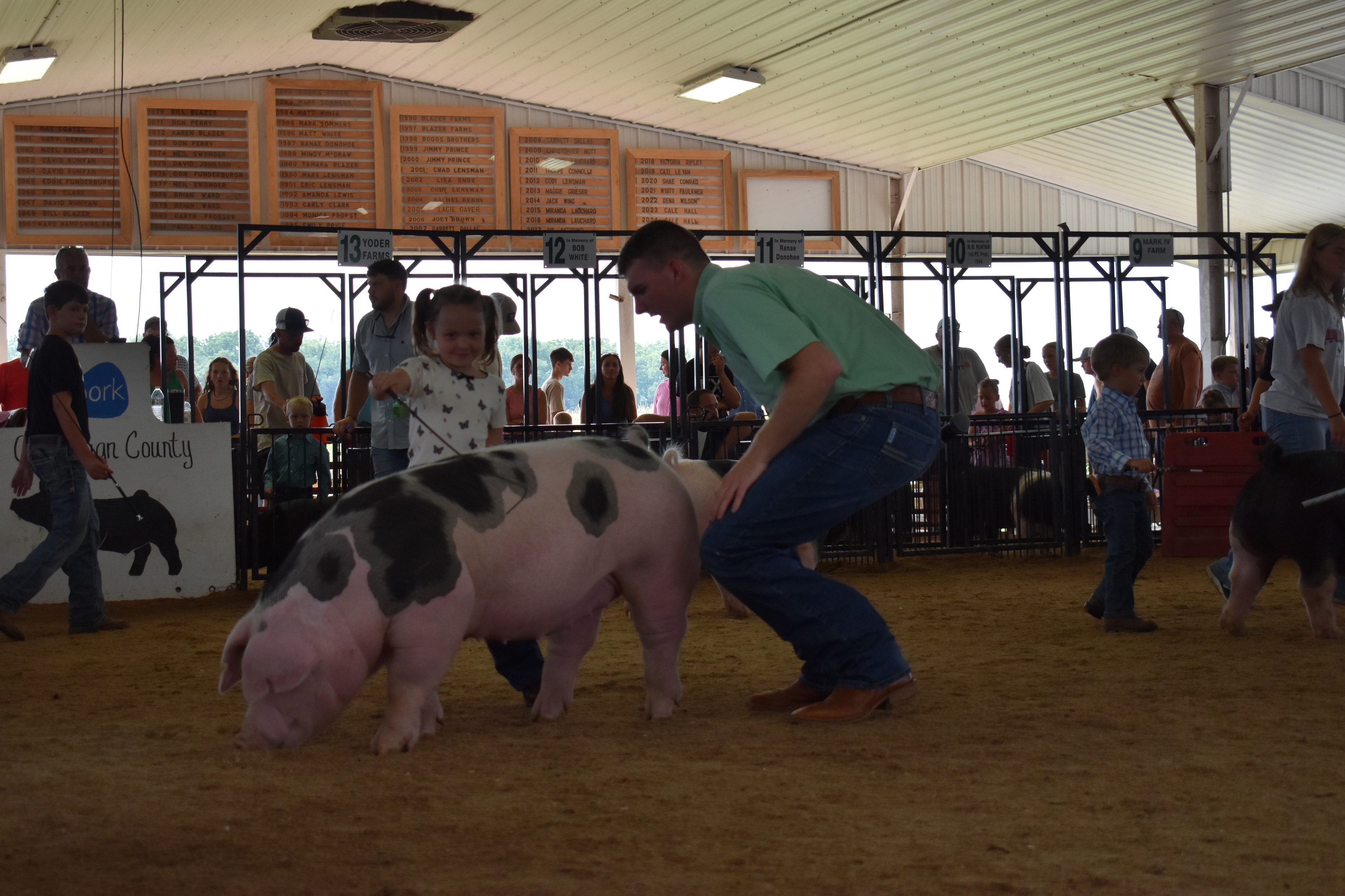 Young girl in colorful pastel top steering Hampshire cross pig along the arena fence with Yoder Farms pen 13 visible behind