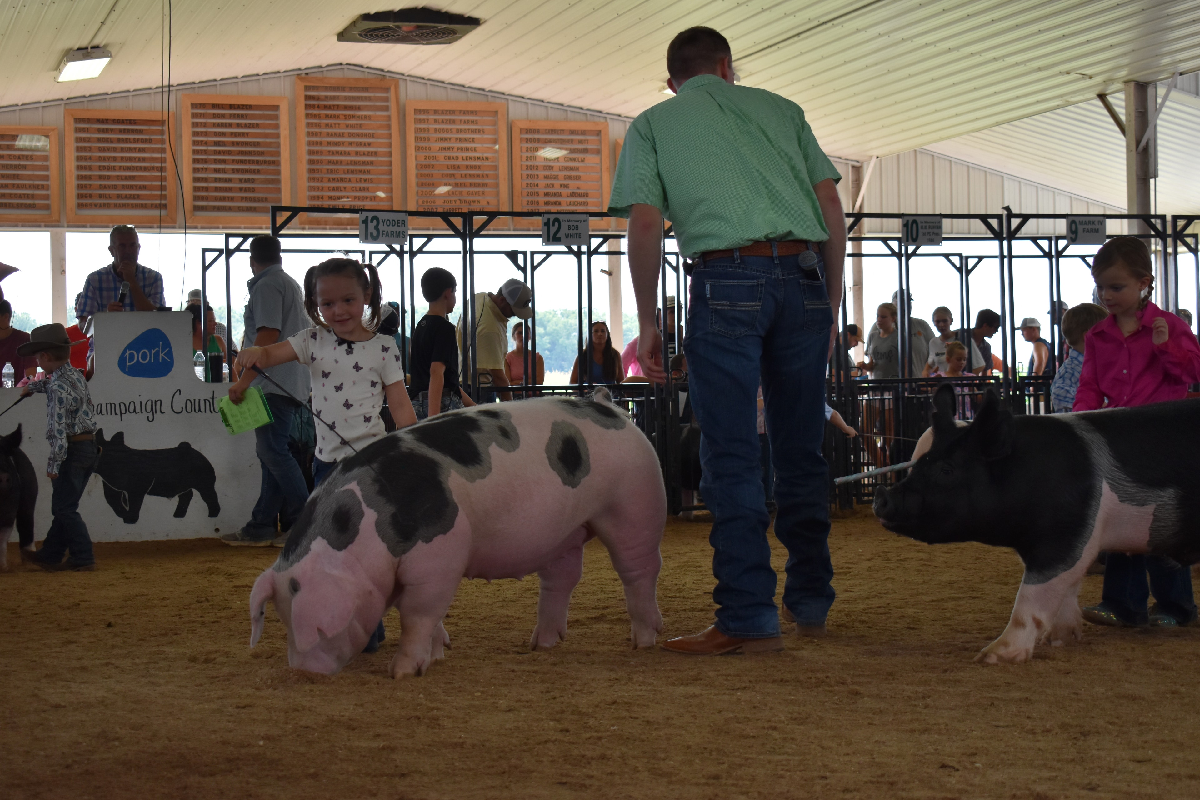 Young girl in colorful pastel top and boy in blue plaid shirt each steering Hampshire cross pigs side by side with packed sponsor pens behind